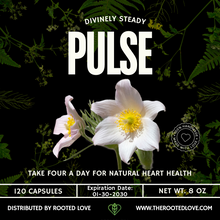 Load image into Gallery viewer, PULSE