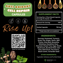 Load image into Gallery viewer, REVIVAL