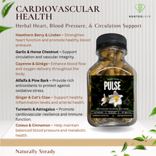 Load image into Gallery viewer, PULSE