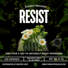 Load image into Gallery viewer, RESIST