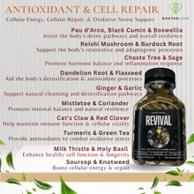 Load image into Gallery viewer, Renew and Rebuild (Ultimate Cleanse)