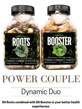 POWER COUPLE
