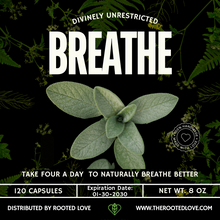 Load image into Gallery viewer, BREATHE