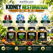 Load image into Gallery viewer, Kidney &amp; Circulatory Wellness Combo
