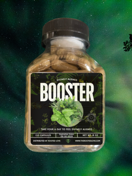 DIVINELY ALIGNED BOOSTER